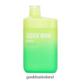 Geek Bar B5000 Disposable 4Z428T29 Guava Ice | Geek Bar Dublin