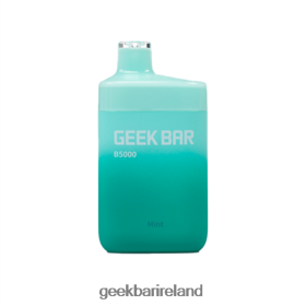 Geek Bar B5000 Disposable 4Z428T32 Mint | Geek Bar Vape