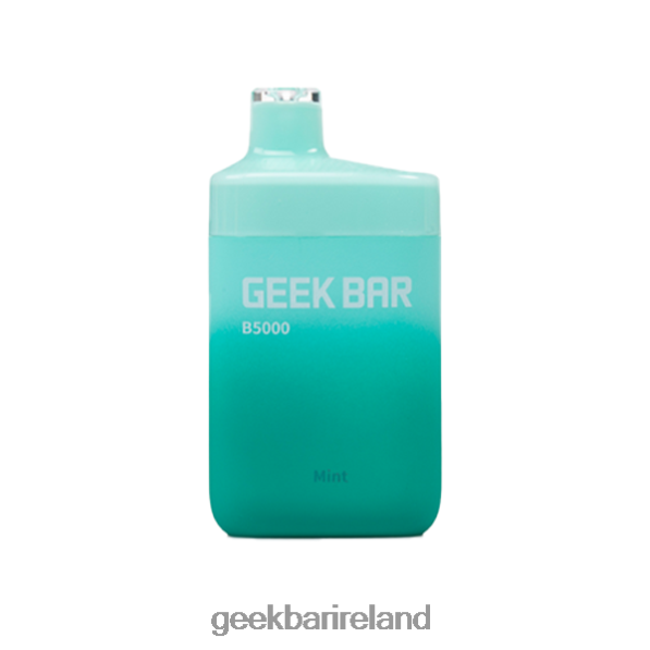 Geek Bar Dublin - Geek Bar B5000 Disposable Mint 8H2V32